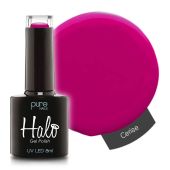 DL_N2811Cerise_Tag