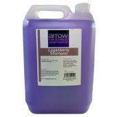 DL_Stylecare_Salon_Basic_Shampoo_4_Litre_-_Loganberry_1